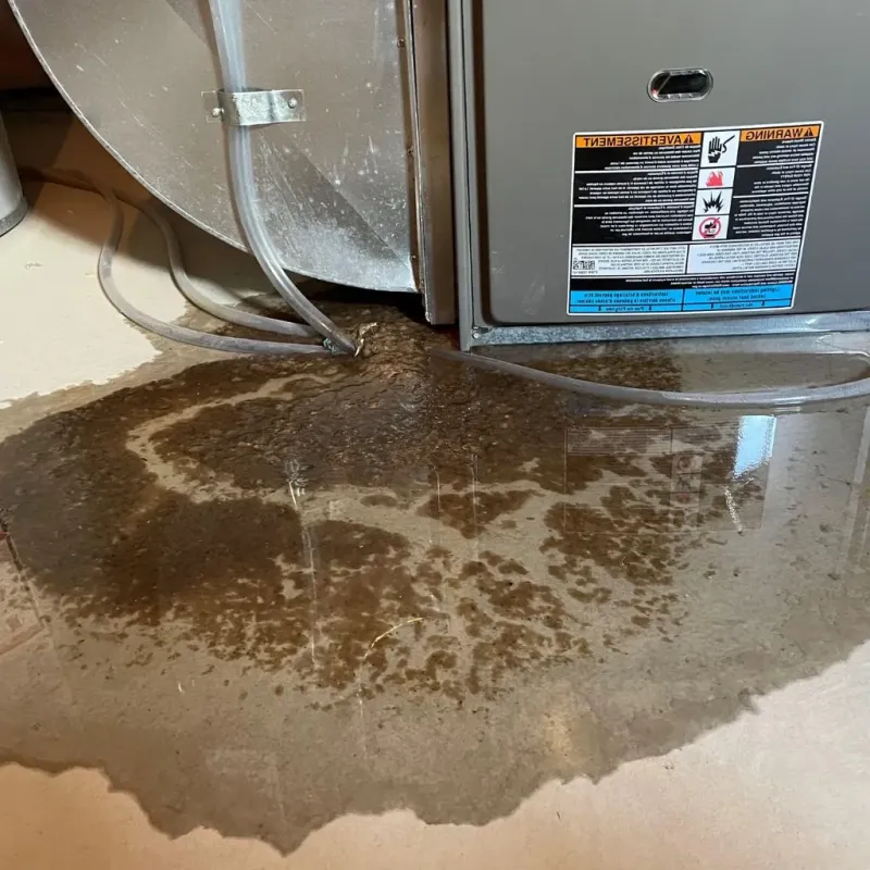 Pipe Burst and Leak Restoration in Brook Highland, AL
