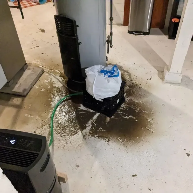 Sewage Backup Cleanup Service in Brook Highland, AL